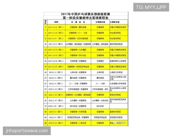 比赛用球的规格要求与裁判检验标准详解